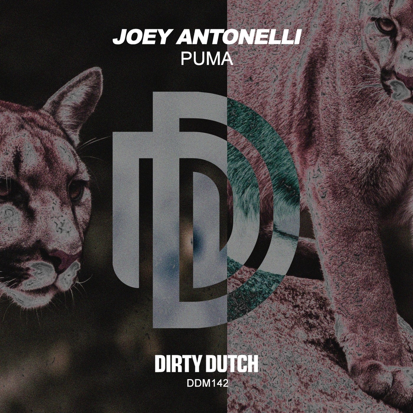 Joey Antonelli - PUMA [DDM142]
